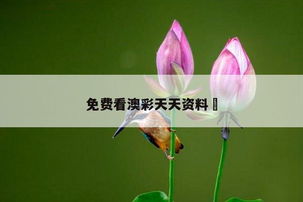 免费看澳彩天天资料	