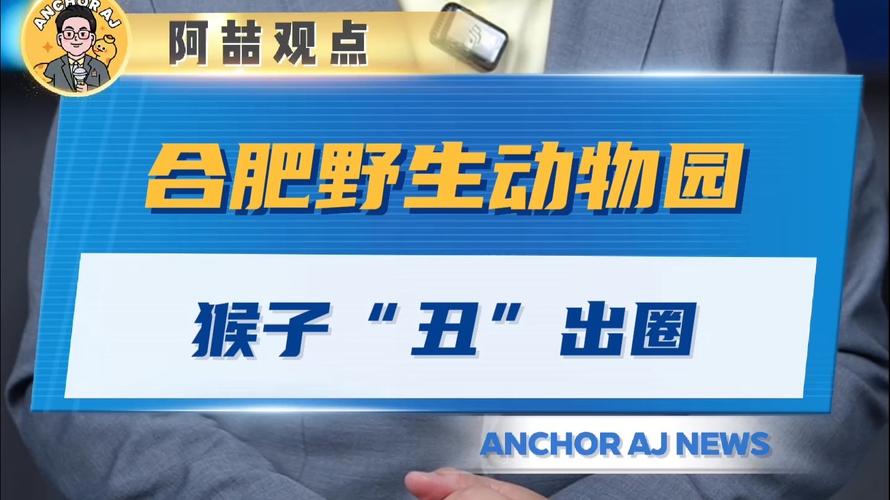 动物园一猴子丑出圈，动物园里的一只丑猴