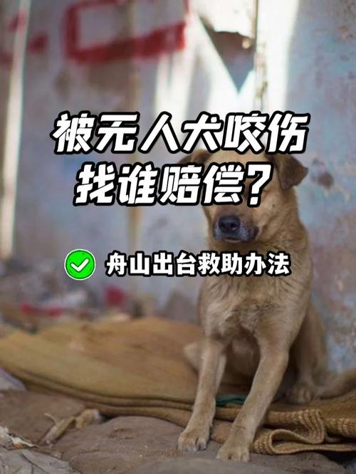 流浪犬事件