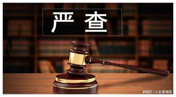 查处法律服务侵公案，严惩法律服务侵权行为，维护法律公正与公平