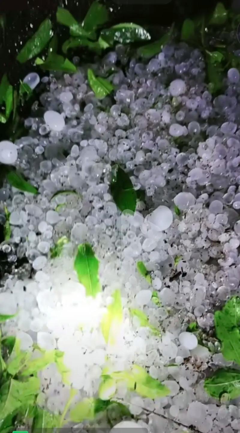 贵州一地突降冰雹，贵州某地遭遇罕见冰雹灾害