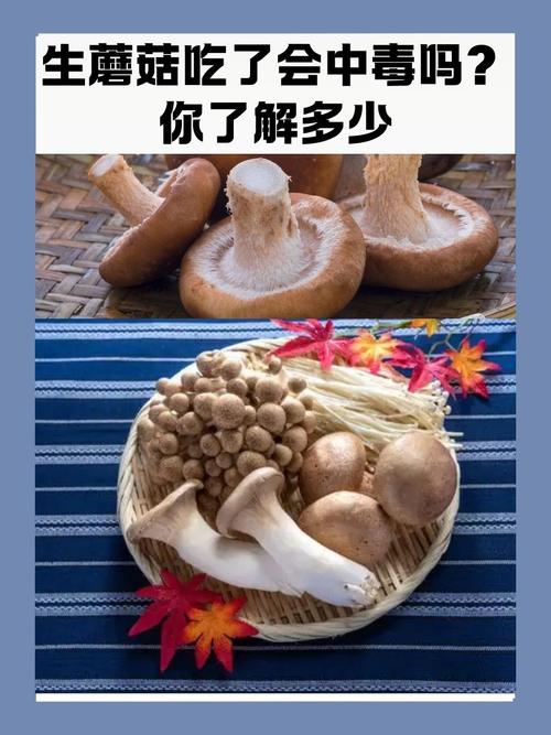 2025年天天开彩免费大全和一家6口吃蘑菇中毒与一家六口吃蘑菇中毒